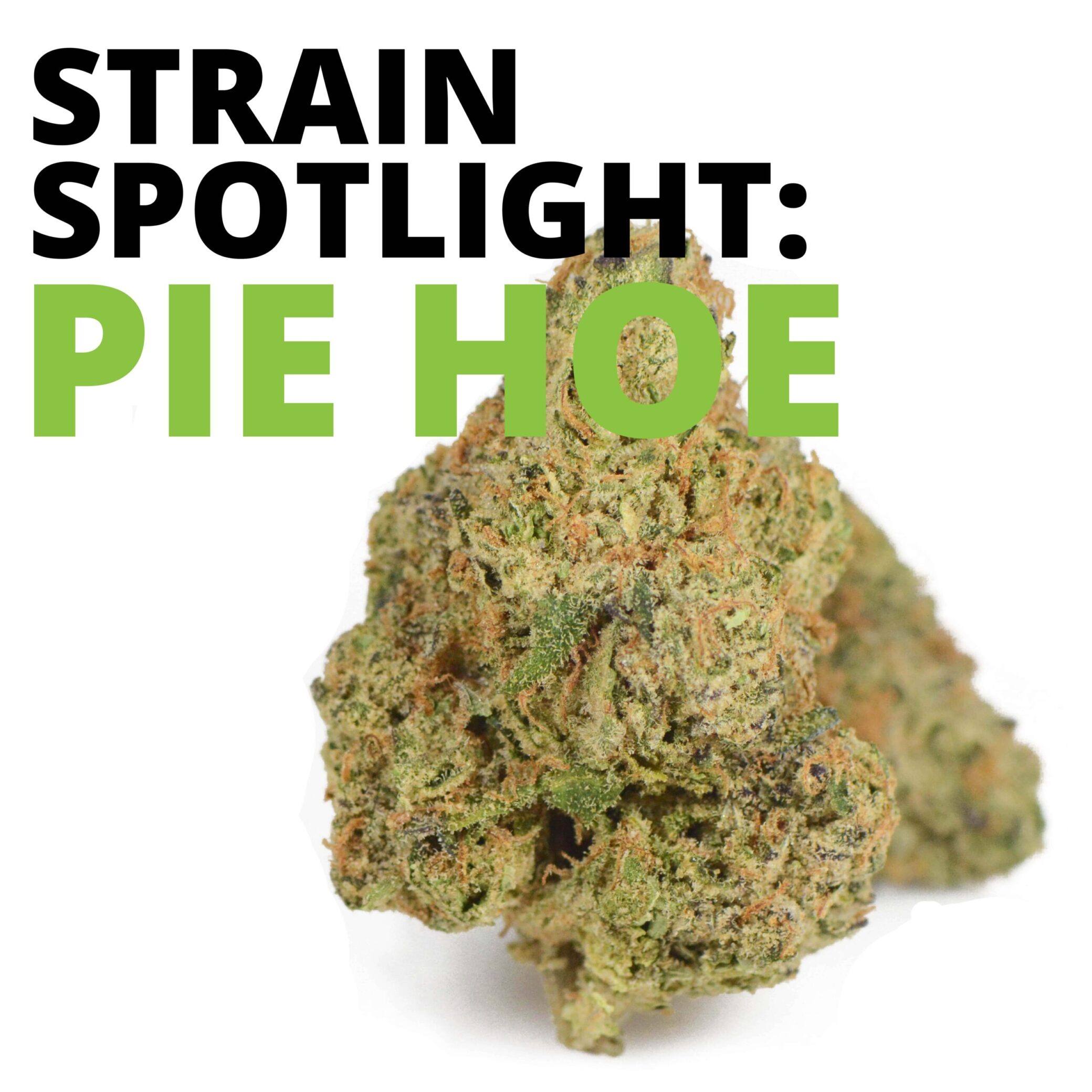 Pie Hoe (Hybrid)