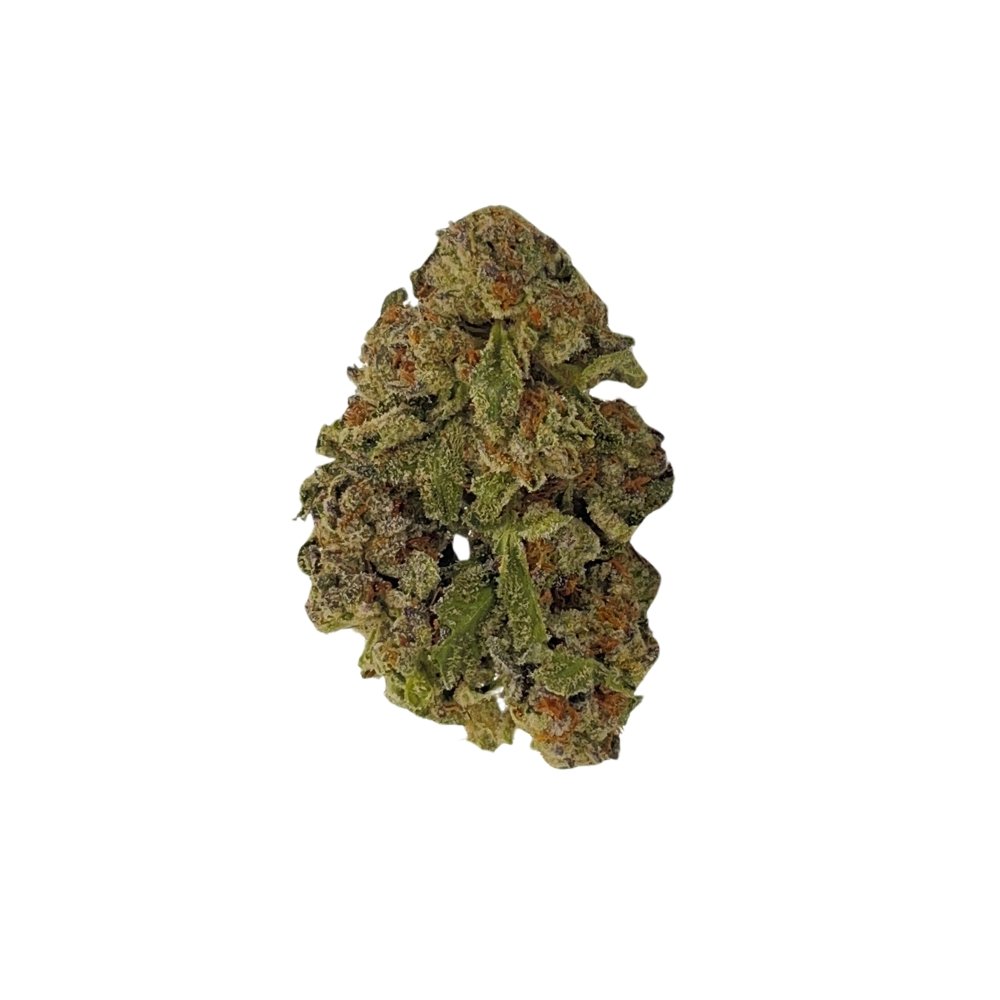 Gelato 1 ounce special (Hybrid)