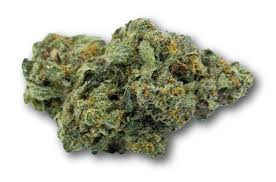 Alien OG