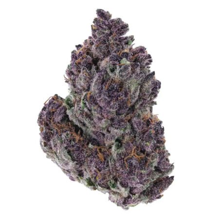 Tropical Cherry (hybrid)