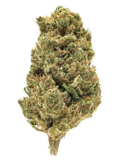 Cherry Ak (hybrid)
