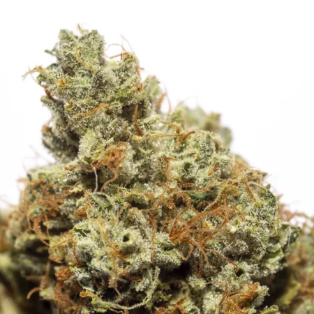 Glue on fire (Hybrid)