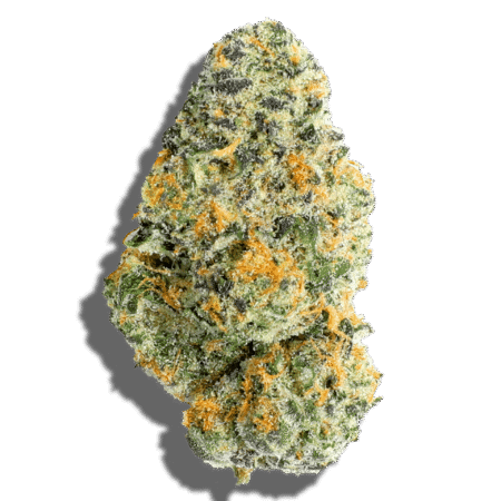 Purple Milk  (Indica Dominant hybrid)