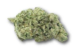 Unicorn (Sativa dominant Hybrid)