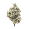 XXX OG
