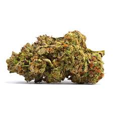 Lemon Cherry Gelato (Hybrid)