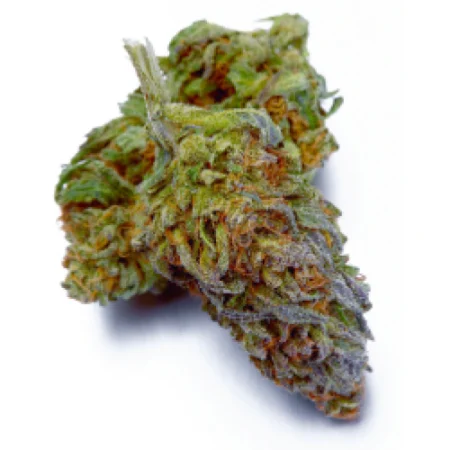 Cherry Nova (Indica dominant hybrid)